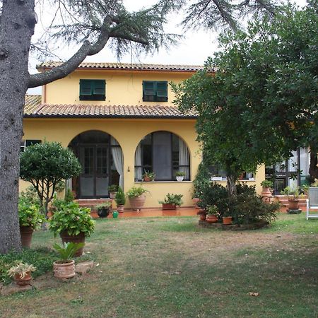 Tenuta Poggio Alla Farnia Fauglia Екстер'єр фото