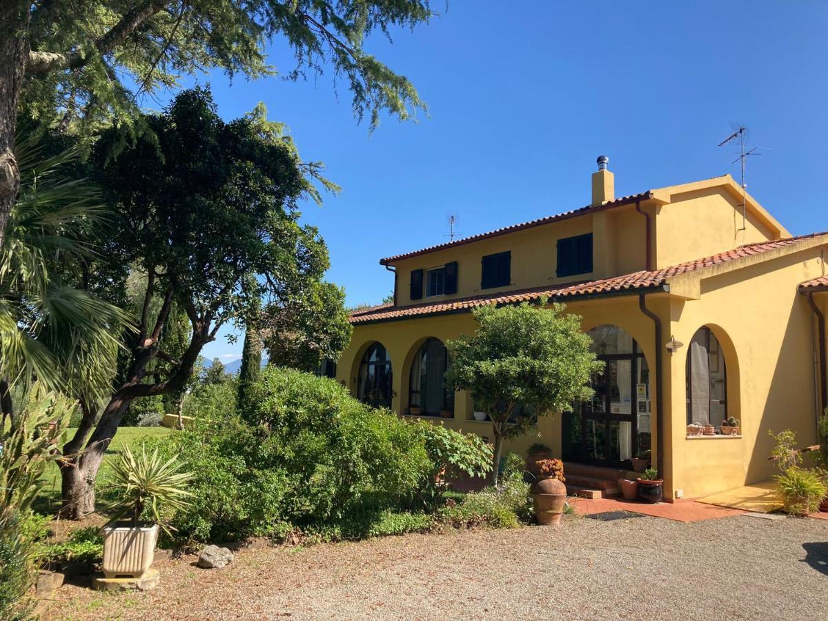 Tenuta Poggio Alla Farnia Fauglia Екстер'єр фото