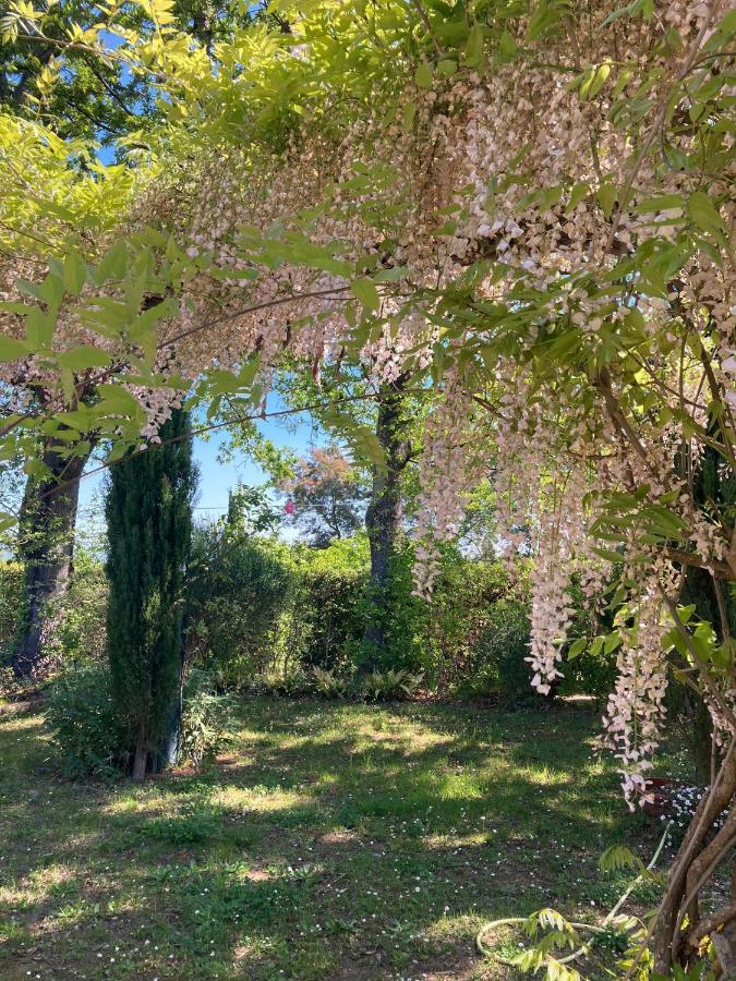 Tenuta Poggio Alla Farnia Fauglia Екстер'єр фото