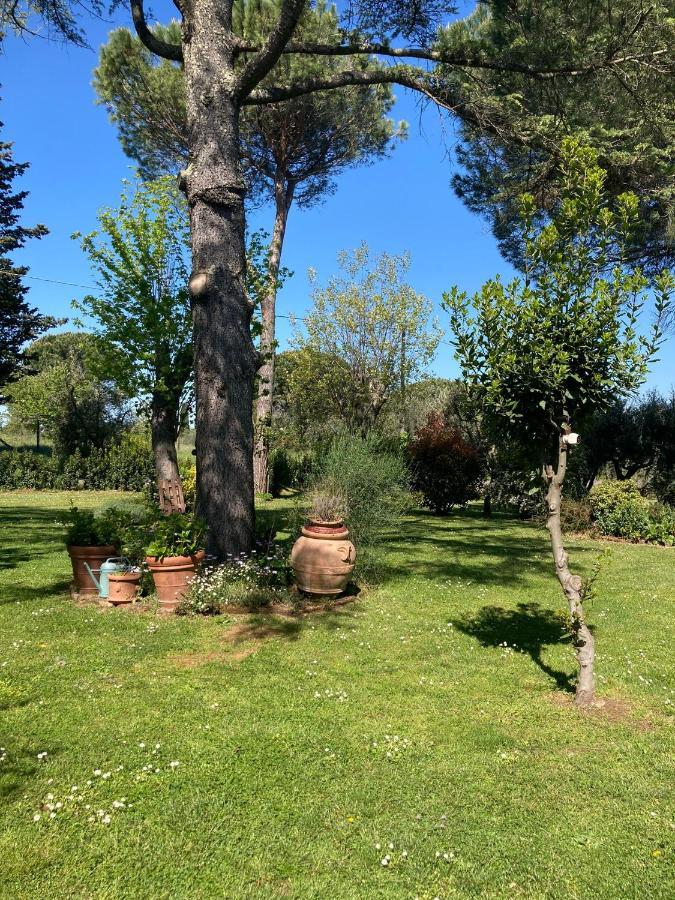 Tenuta Poggio Alla Farnia Fauglia Екстер'єр фото