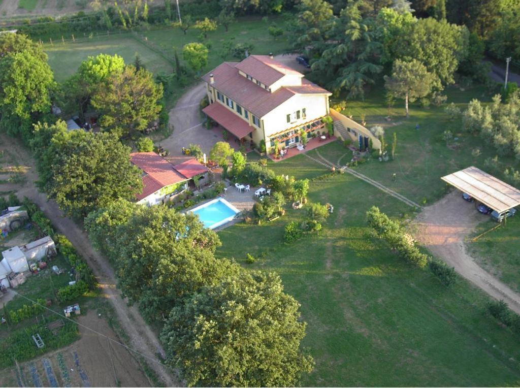 Tenuta Poggio Alla Farnia Fauglia Екстер'єр фото